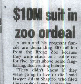$10M Suit Zoo